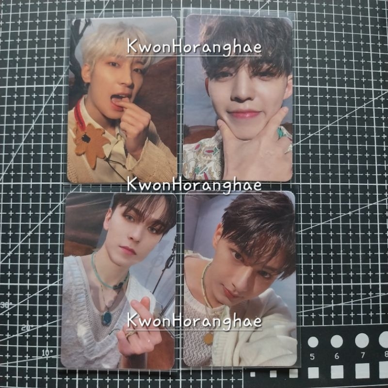 [TAKE ALL ONLY] WONWOO RAY MAM ATI