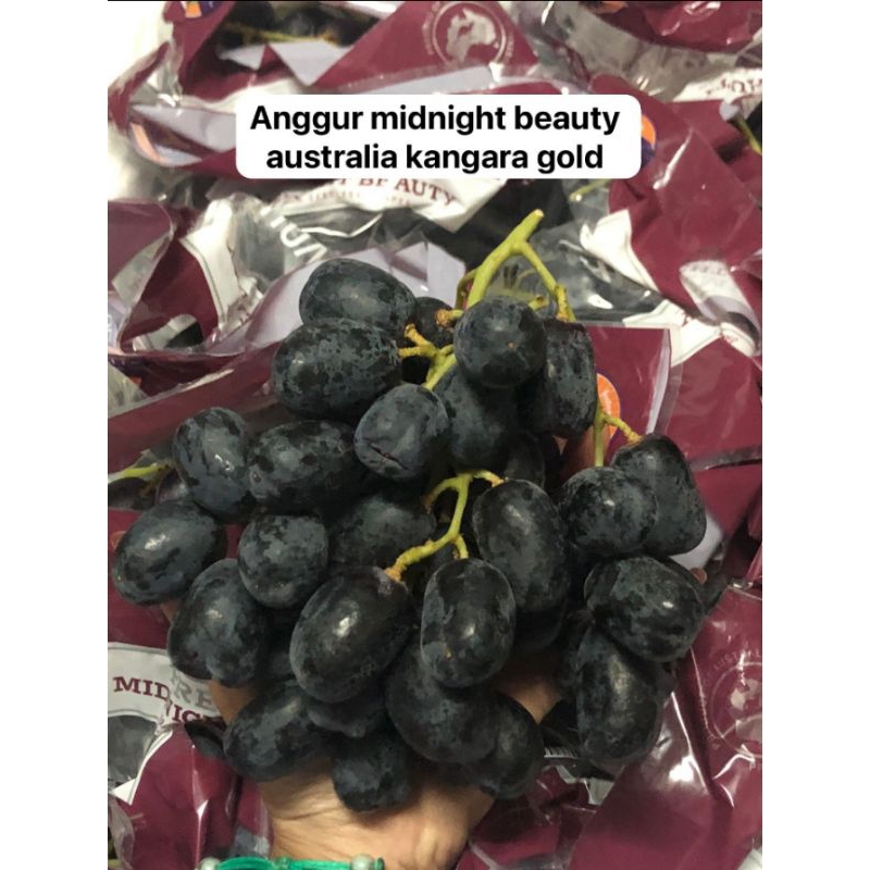 

anggur midnight beauty Australia