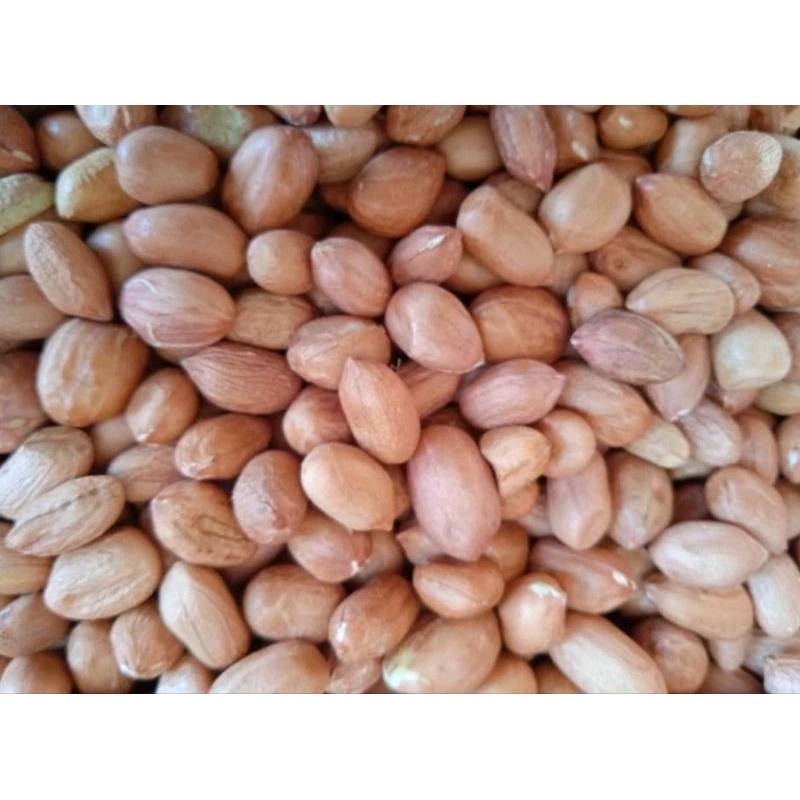 

kacang tanah mentah 1kg