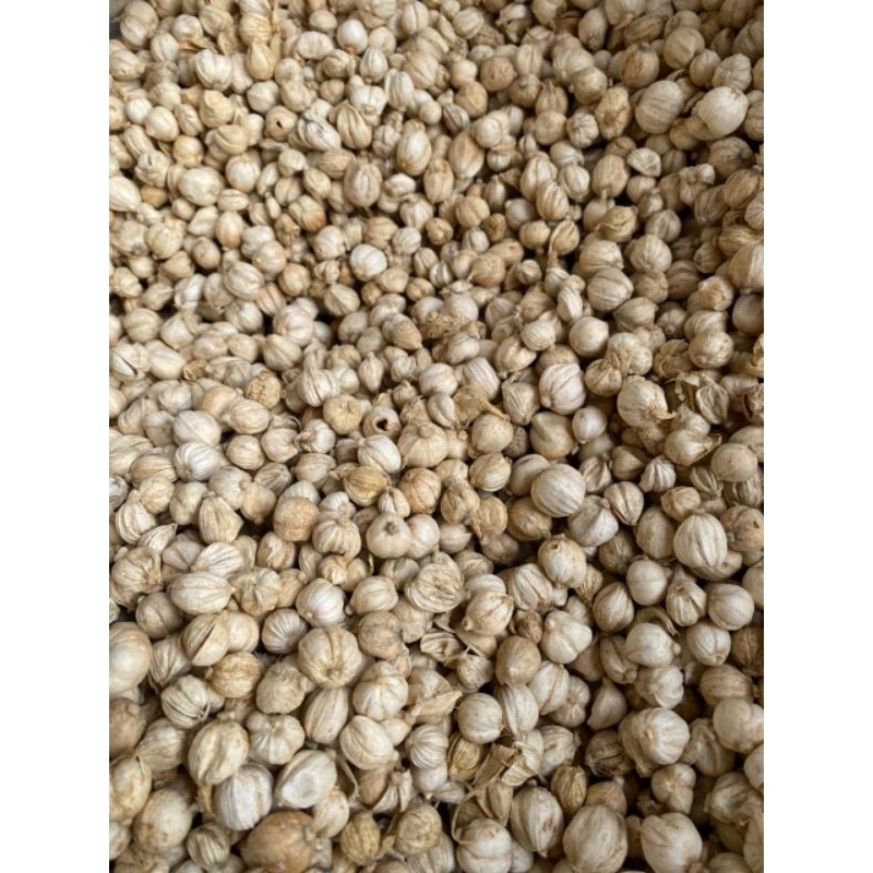 

kapulaga kering 1kg kapolaga organik