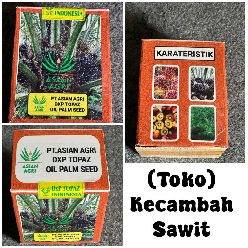 bibit sawit Topaz 250 butir
