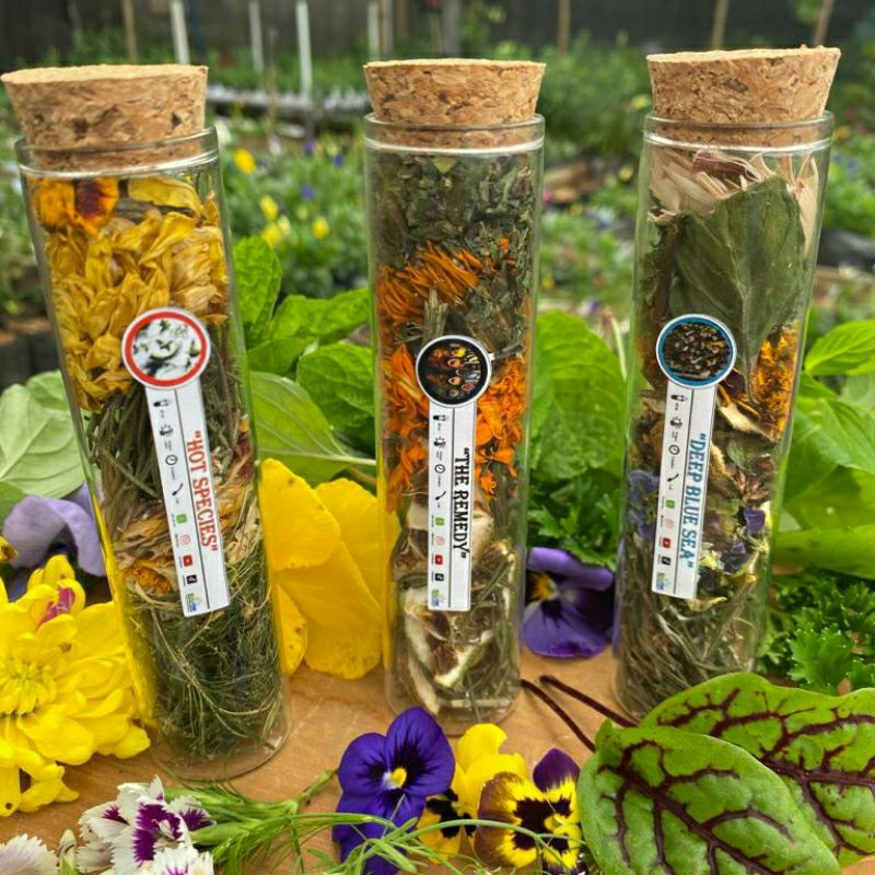 

THE REMEDY / TEA FLOWER IN BOTTLE 60ML / ARTISAN TEA