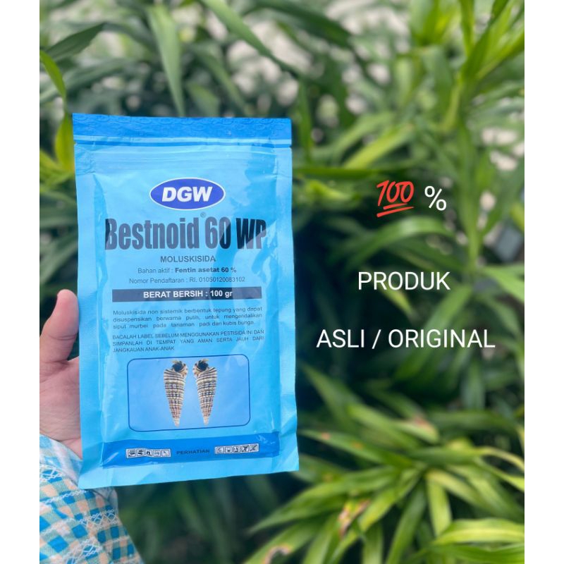 Racun keong Bestnoid 60 WP