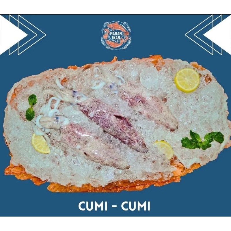 

Cumi-Cumi Segar 1kg