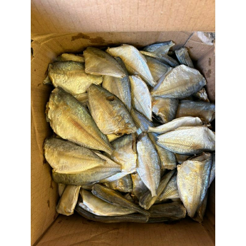 

Ikan Asin Peda buntong 1 kg
