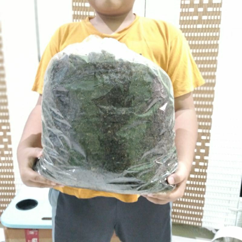 

NORI RUMPUT LAUT POTONG 1 KILOGRAM Kemasan Aluminium Foil || Snack Rumput Laut Enak dan Gurih 1000 Gram
