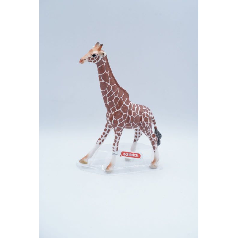 Male Giraffe Jerapah Binatang Animal Figure Pajangan Mainan Koleksi Figurine