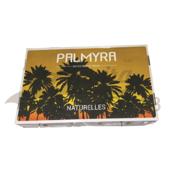 

Promo Kurma Deglet Nour palmyra premium Tangkai 5 kg Limited