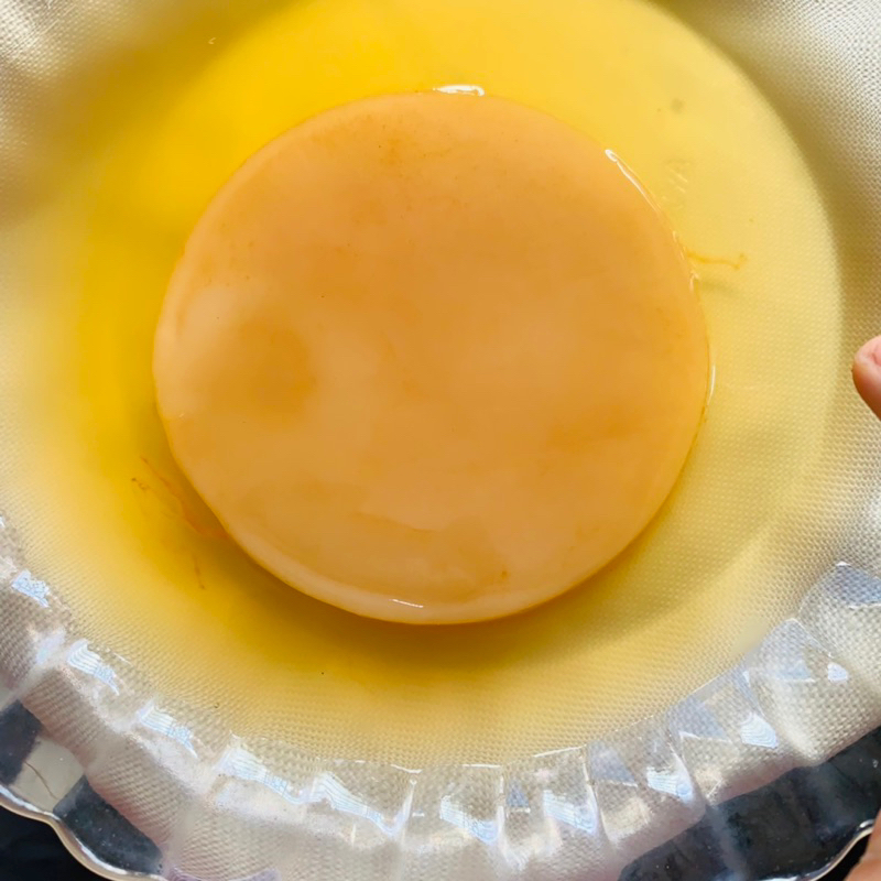 

Bibit scoby kombucha