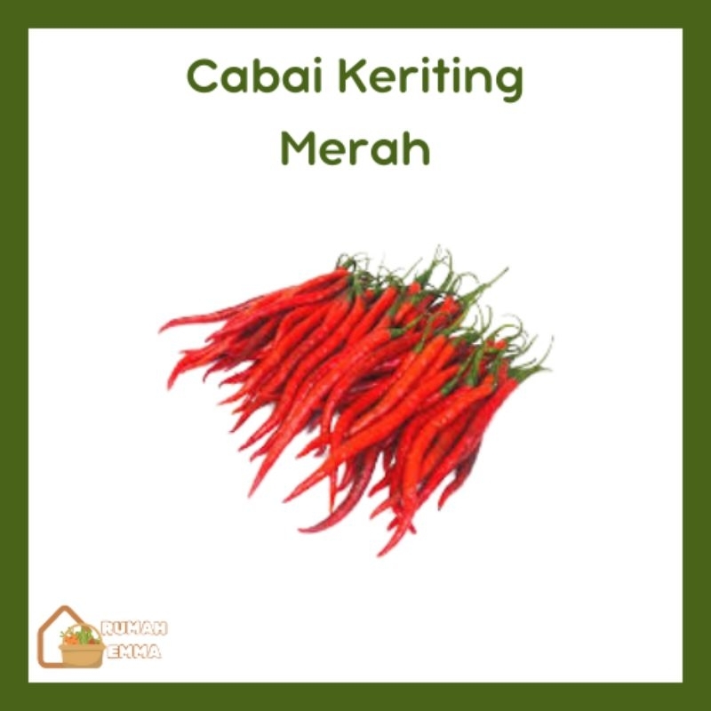 

Sayuran Segar Cabai Keriting Merah dikirim instant