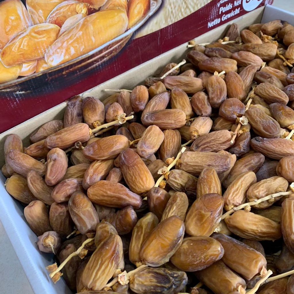 

kurma TUNISIA TANGKAI