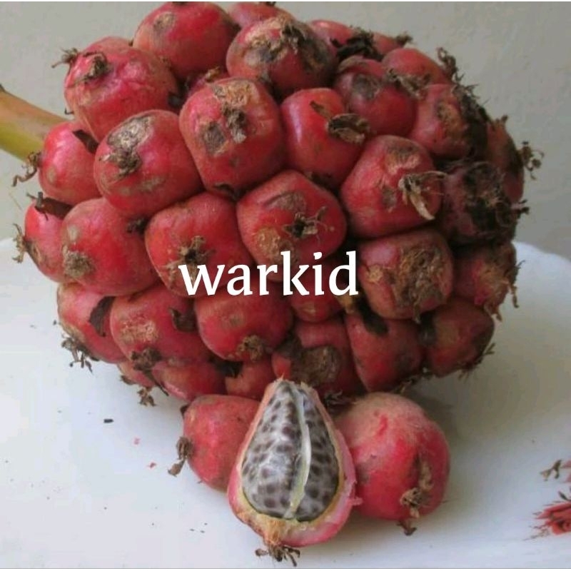 

Buah honje segar 1kg