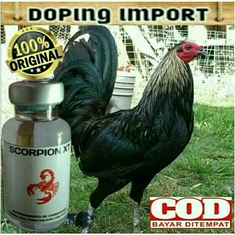 DOPING AYAM TAJI