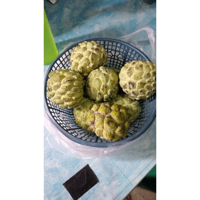 

Srikaya