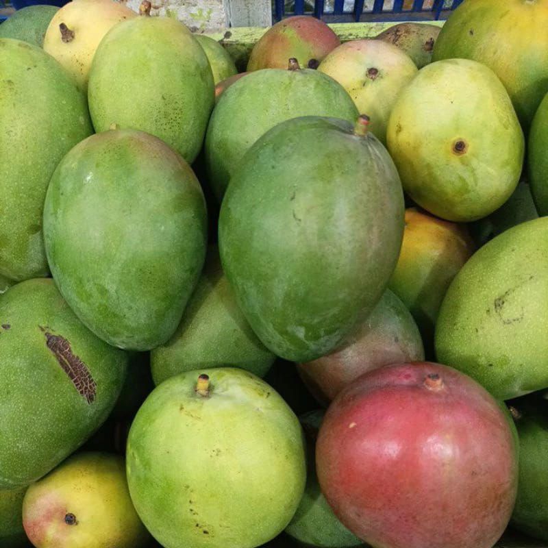 

Mangga BraziL 500g