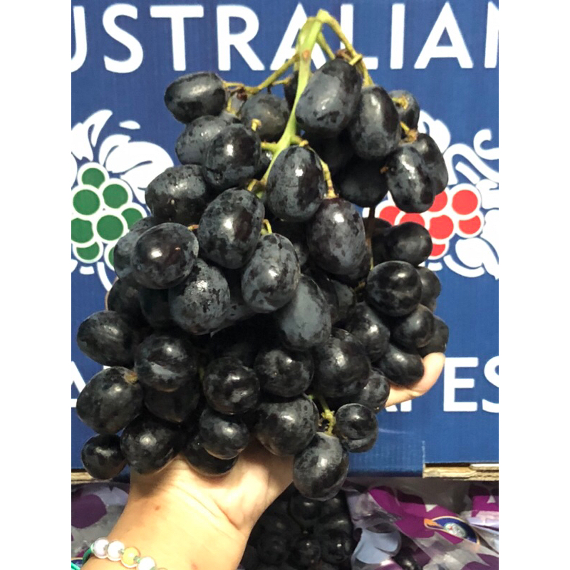 Anggur Midnight Australian Table Grapes /kg