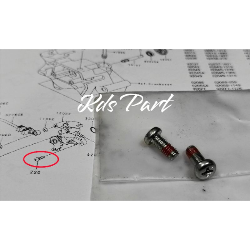 SCREW PAN CROS 5X16 POMPA OLSAM KAWASAKI NINJA R RR GENUINE PARTS