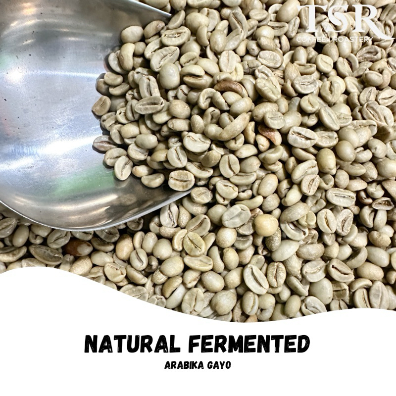 

GREEN BEANS ARABIKA NATURAL 1 KG KOPI MURNI