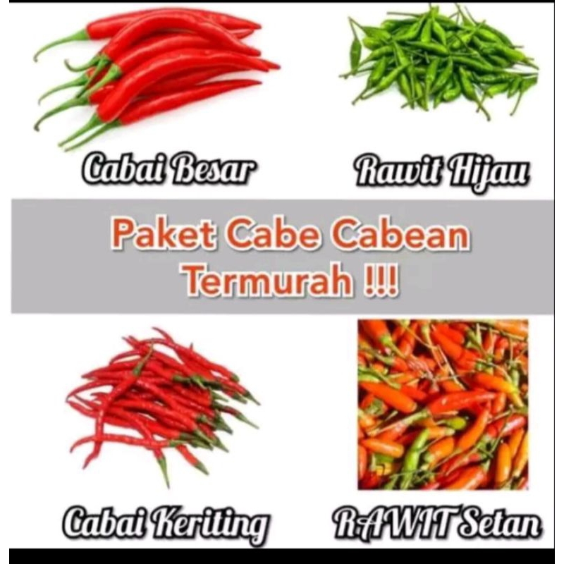 

paket hemat tanam cabai pedas cocok untuk pekarangan rumah