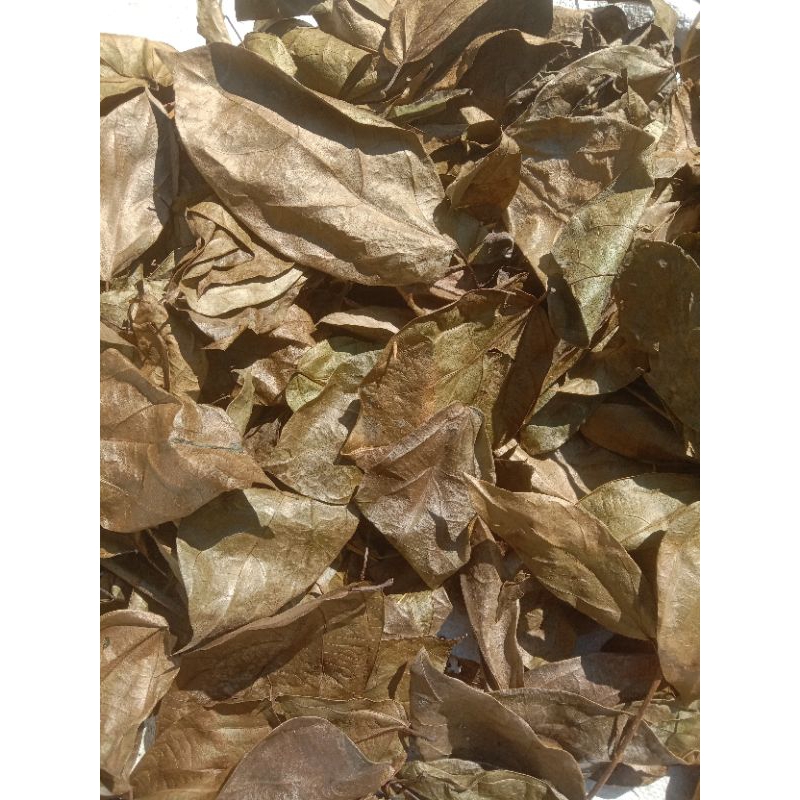 

daun cincau kering