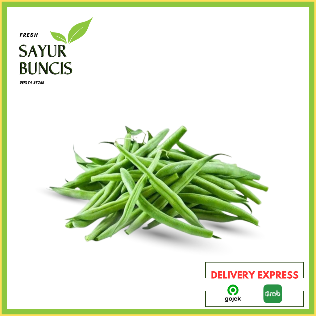 

SAYUR BUNCIS HIJAU SEGAR BABY BUNCIS MURAH SAYURAN FRESH KACANG BUNCIS