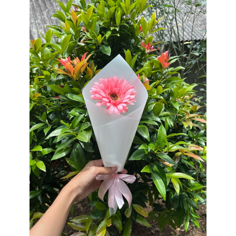 •vybouquet•single gerbera buket bunga buket boneka wisuda buket snack buket makanan buket boneka