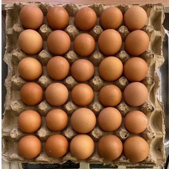 

Telur Ayam Fresh / Telur Ayam 1 tray ISI 30 Butir /GRADE A / Telur Premium