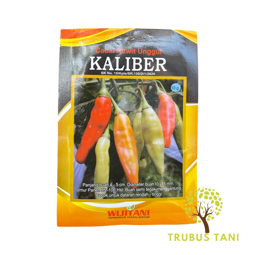 Pasti Tertarik Benih cabe KALIBER 1gram benih cabai rawit unggul kaliber wijitanicabe setan