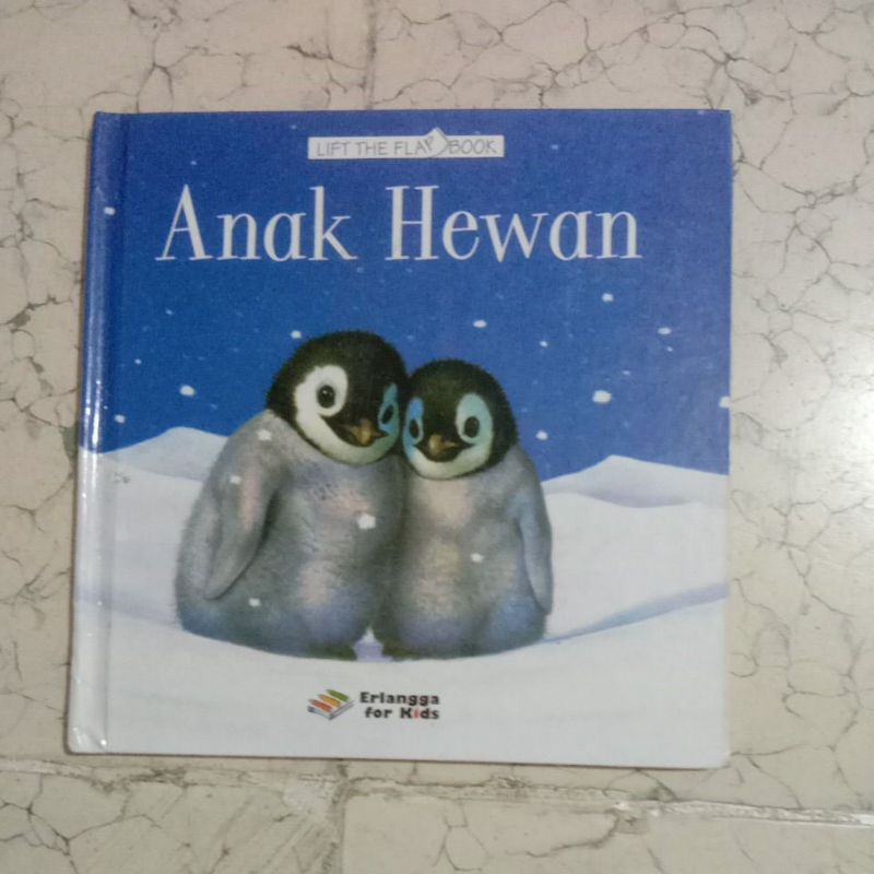 Lift The Flap Book Erlangga for Kids