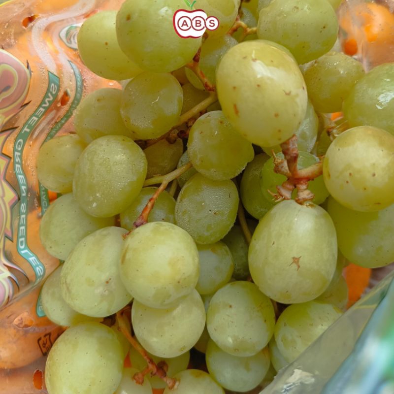 

Buah Anggur ijo crispy 500 Gram / Anggur hijau buah AUS Fresh manis