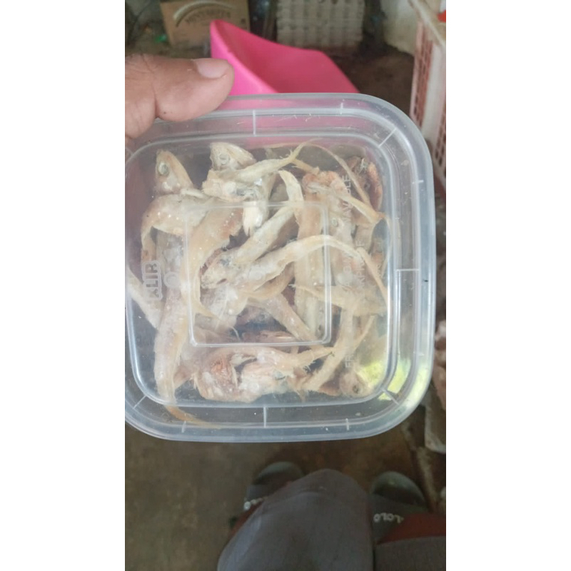 

ikan asin