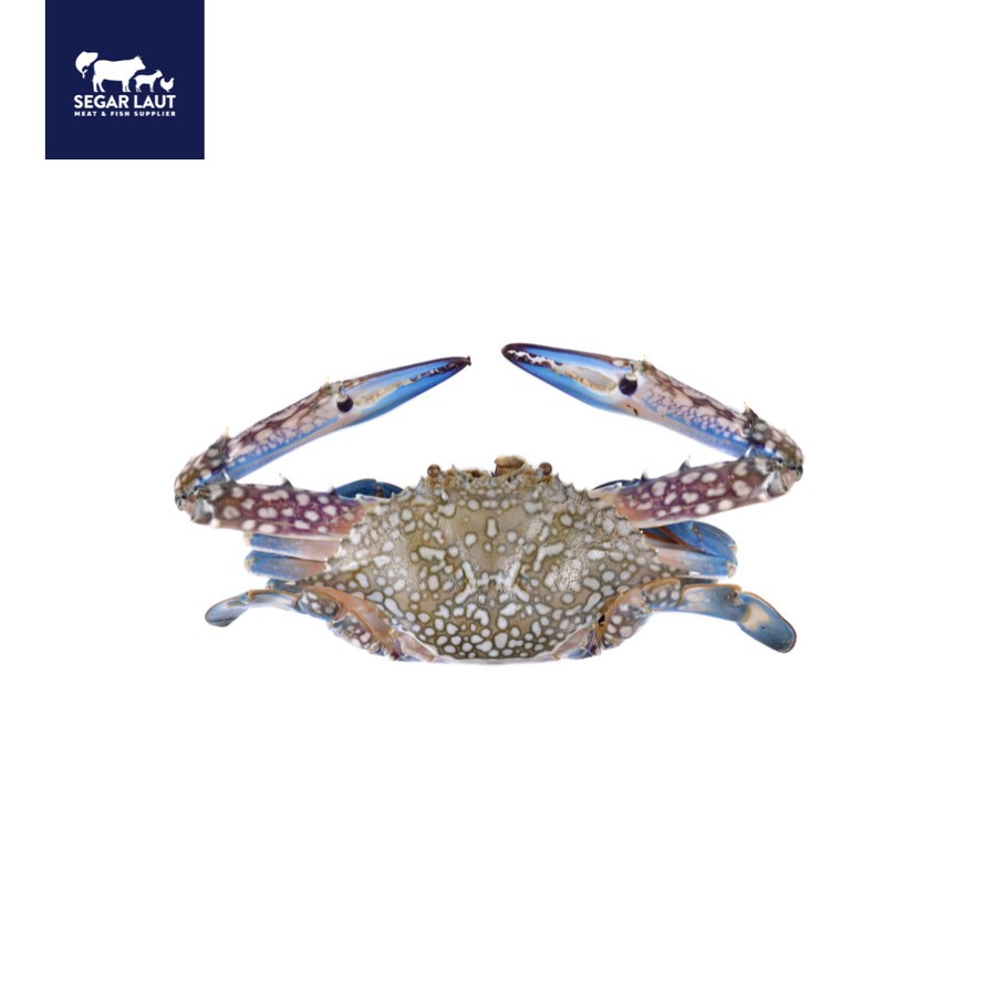 

kepiting Soka Frozen ● Soft Shell Crab ● Premium