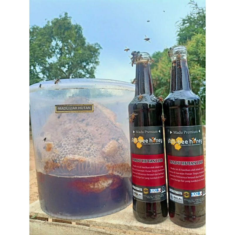 

Madu An-bee honey - Asli Hutan 500gram