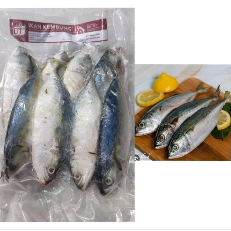 

Ikan Kembung Frozen ±1kg