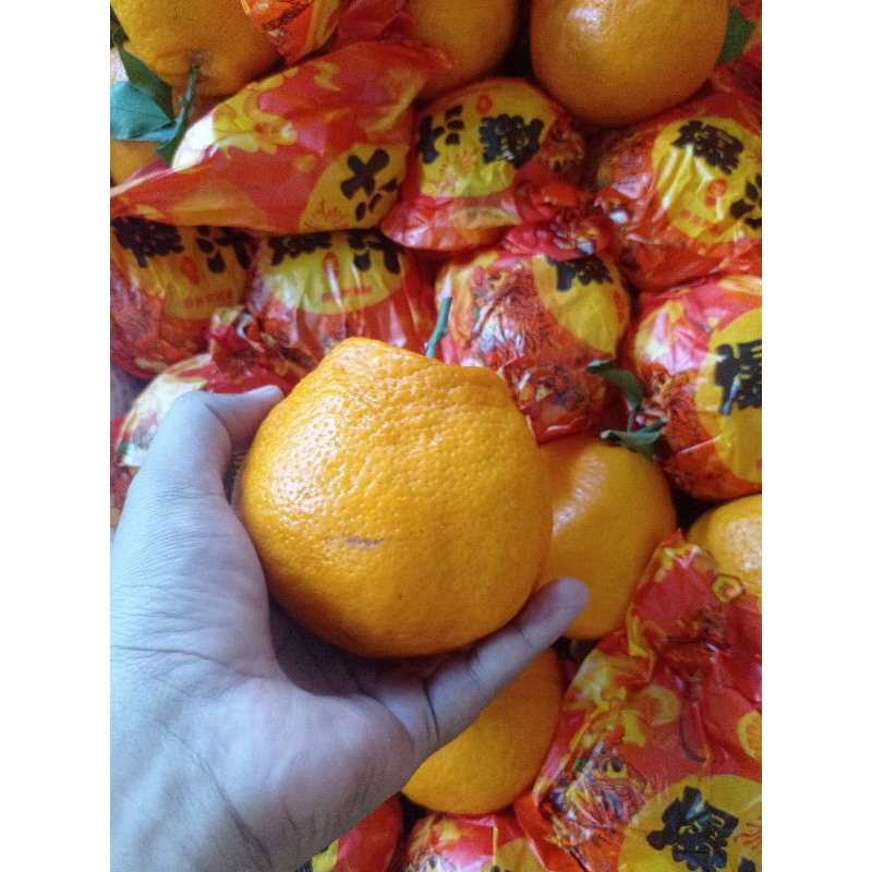 

Jeruk Dekopon papakan super jumbo XXL 5 kg / keranjang