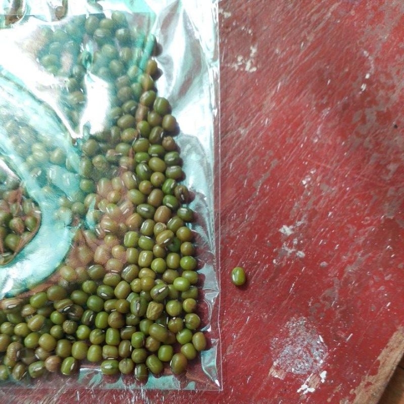 

biji kacang hijau per 1 biji