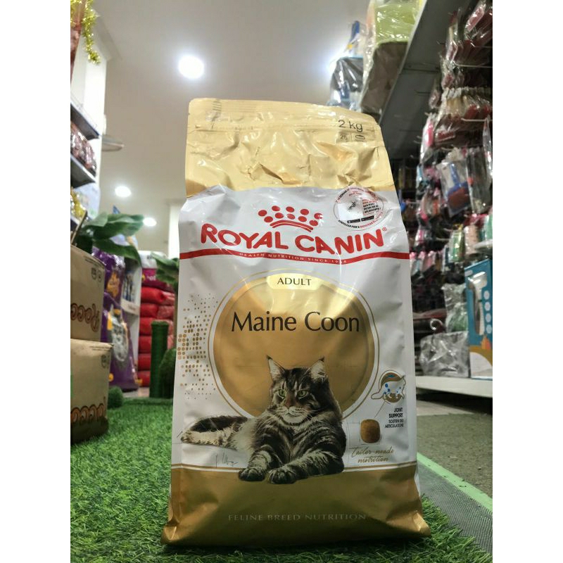 Royal canin mainecoon adult 2Kg