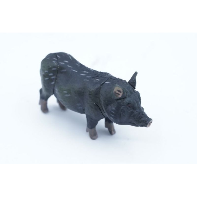 Wild Boar Pig Wild Boar Babirusa Babi Hutan Celeng Sus Scrofa Binatang Animal Figure Pajangan Mainan