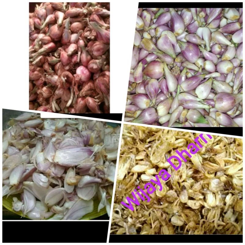 

bawang Sumenep