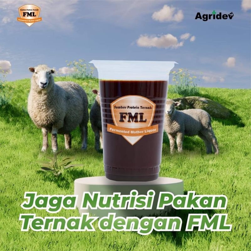 Sumber Protein Ternak FML 1 Liter Nutrisi Pakan Ternak dari AJINOMOTO