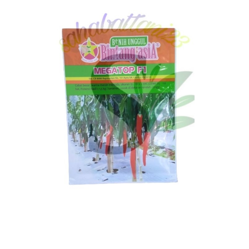 Benih Cabe MEGATOP F1 Cabe Besar berat 10gram (Bintang Asia)