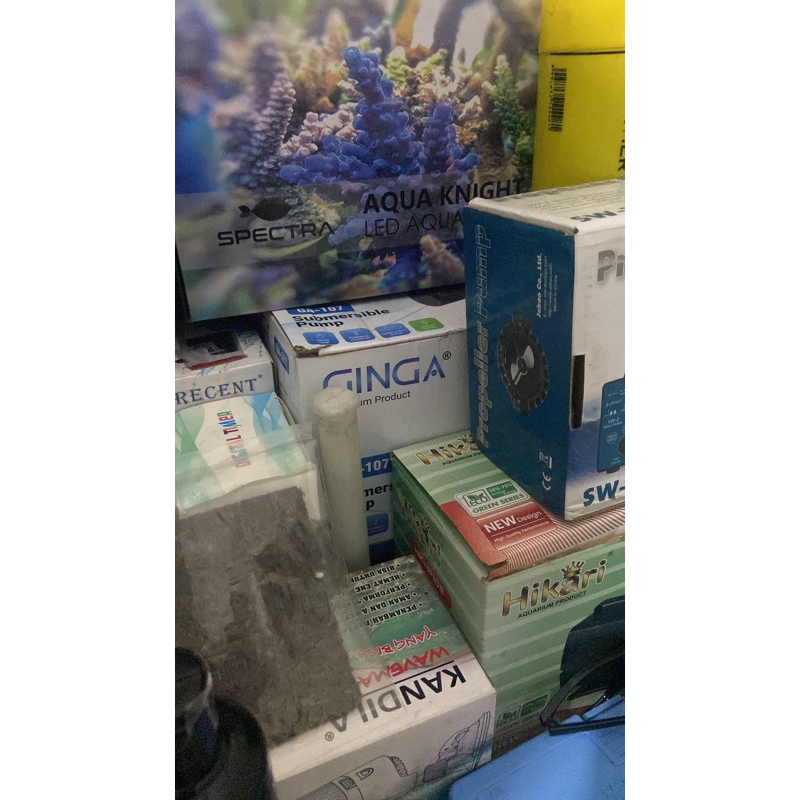 PH GINGA