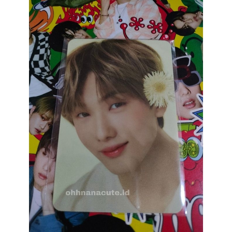 [Ready stock] PC Official Jisung candylab