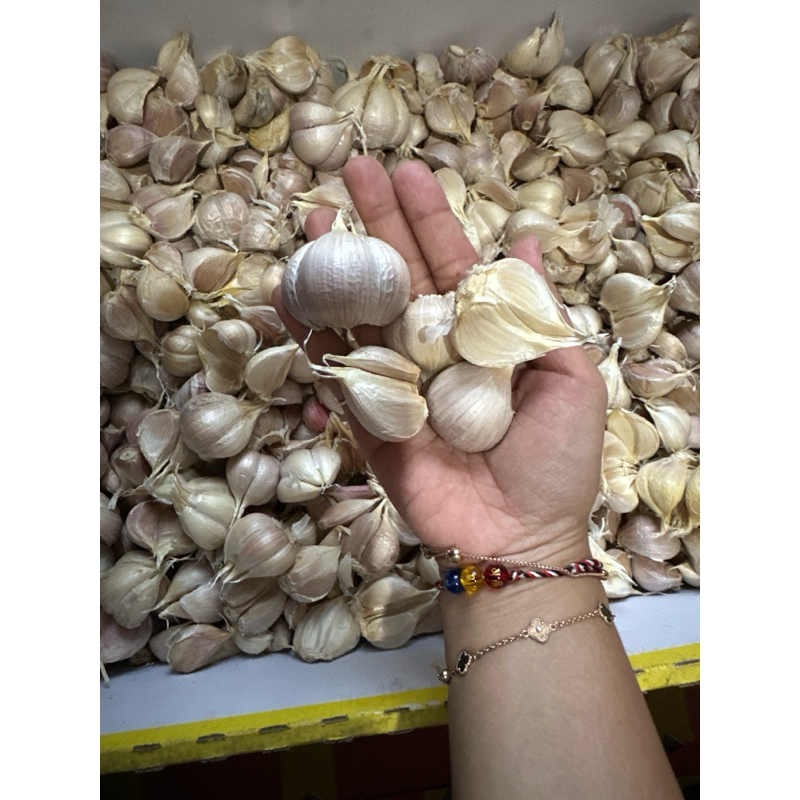 

bawang putih kating 1kg