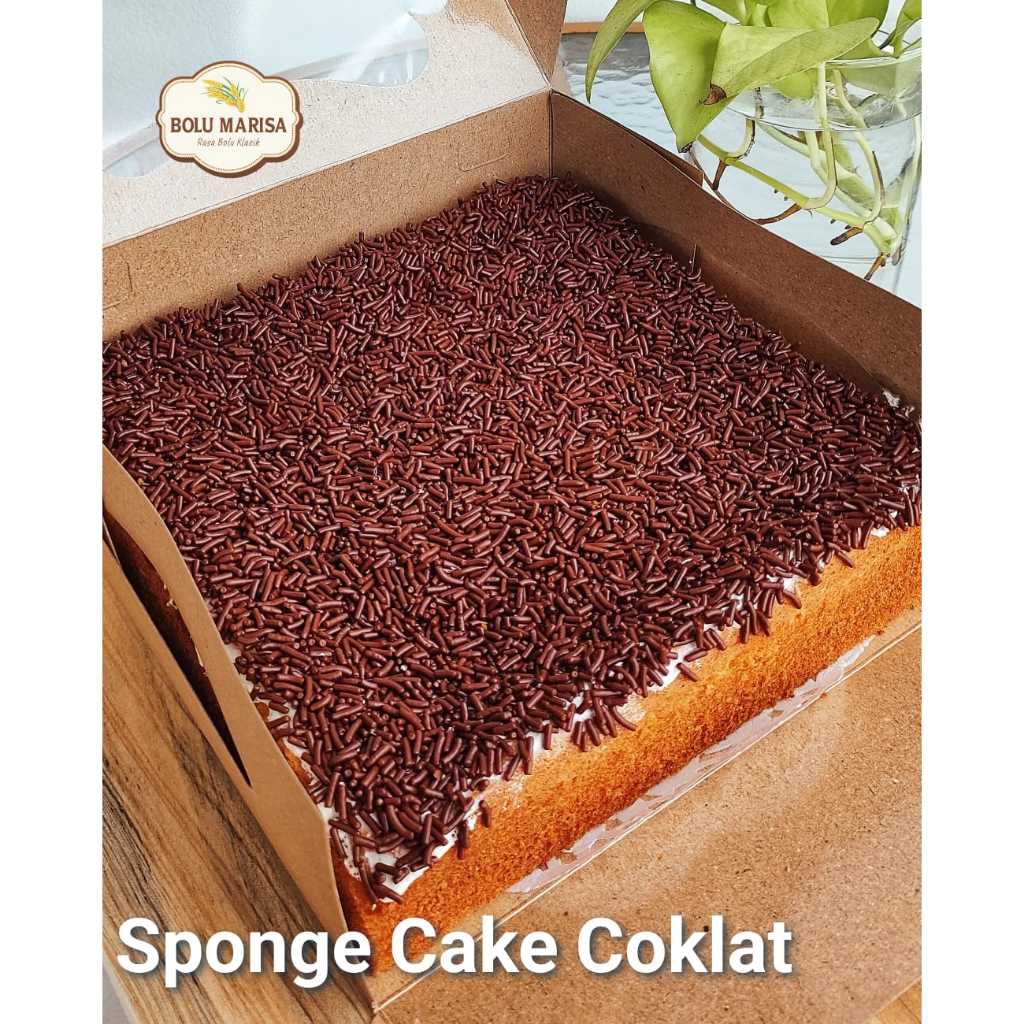 

Sponge Cake | Bolu Jadul Coklat | Keju | Kue Ulang Tahun | Hampers