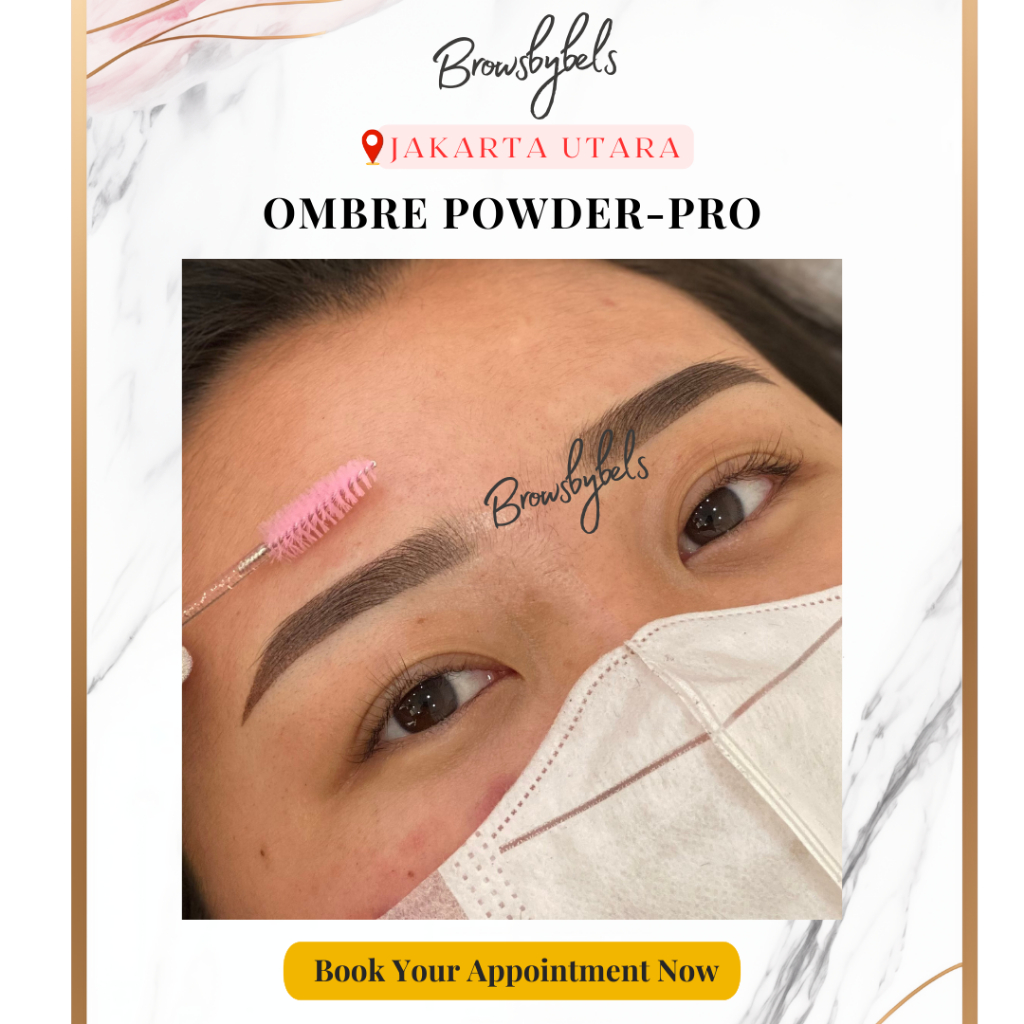 SULAM ALIS NATURAL OMBRE POWDER-PRO by Browsbybels