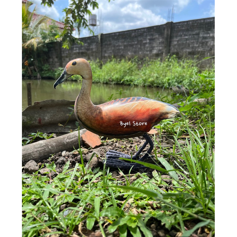 Jontrot Patung Itik Belibis Kembang