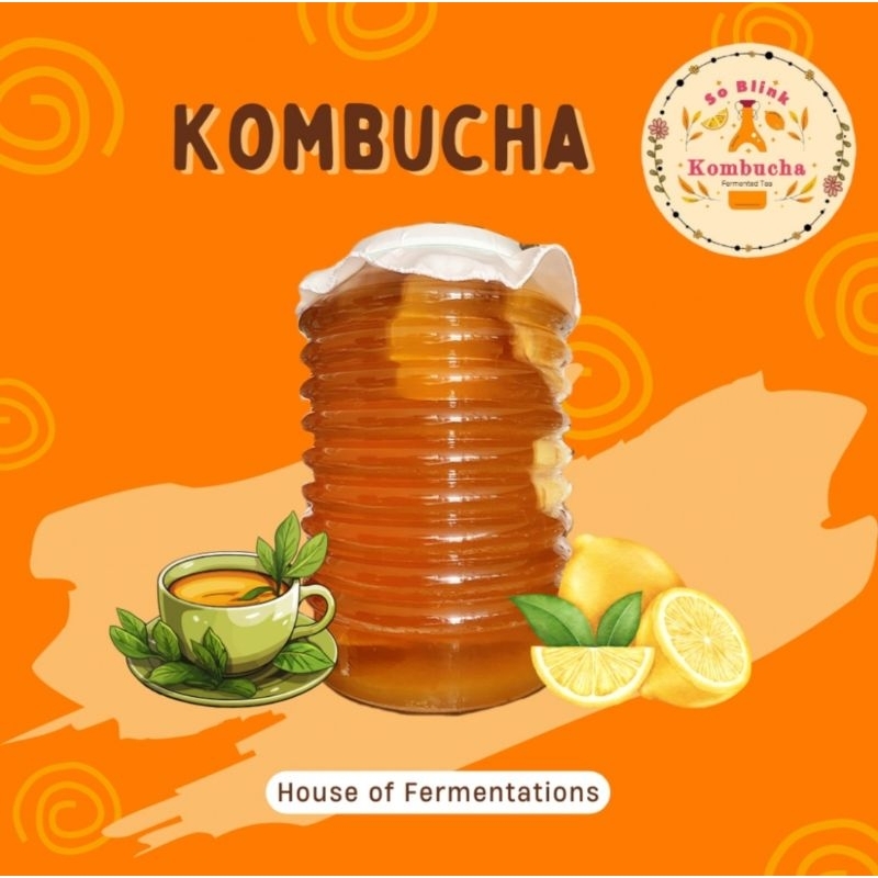 

Kombucha by SoBlink - Kombucha Original 250ml