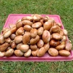 

biji nangka 250 gr