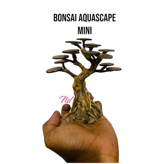 BONSAI MINI AQUASCAPE AKUARIUM PROMO